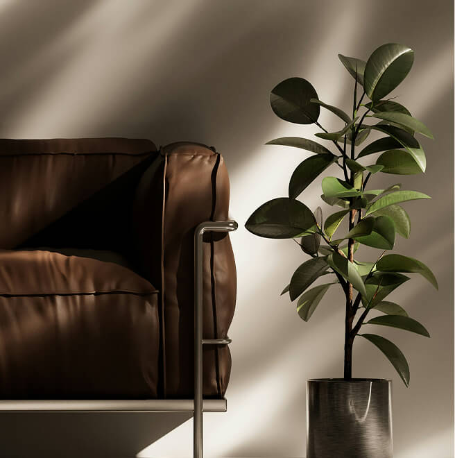Comfortable brown chair and plant