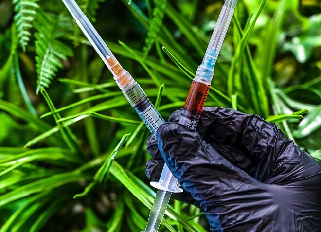 Syringes displayed used for Vitamin B12 injections